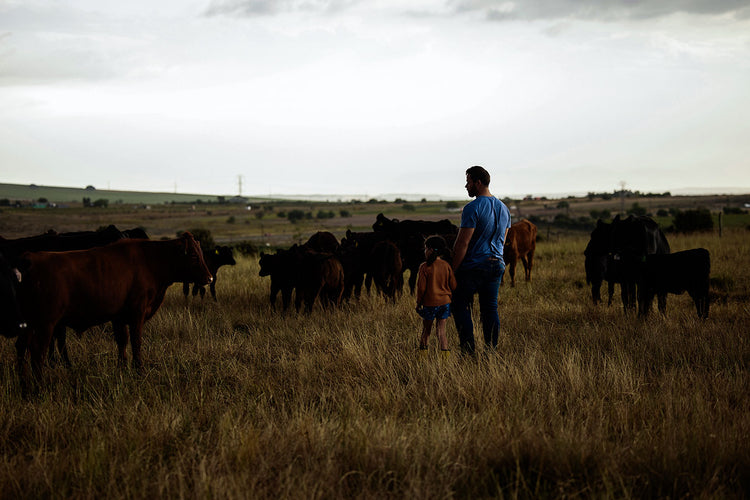 Farm-to-Table Beef